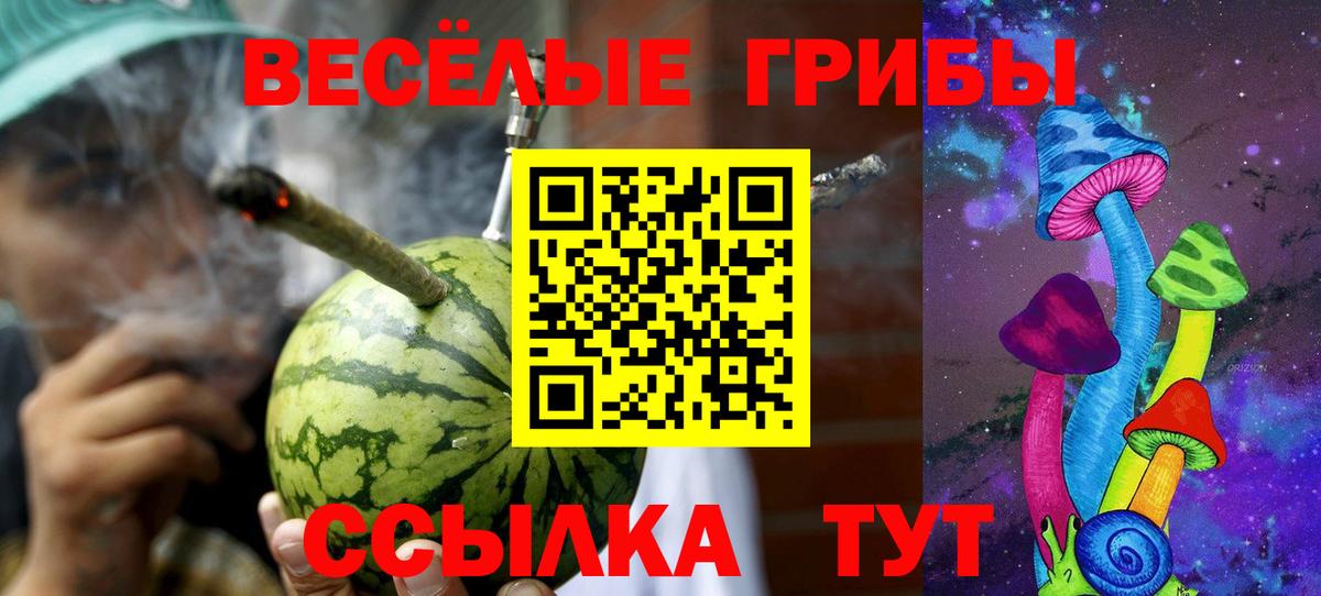 Псилоцибиновые грибы прущие грибы Котовск